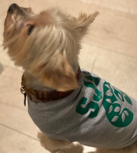 Dog Pullover