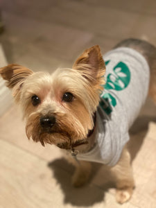 Dog Pullover